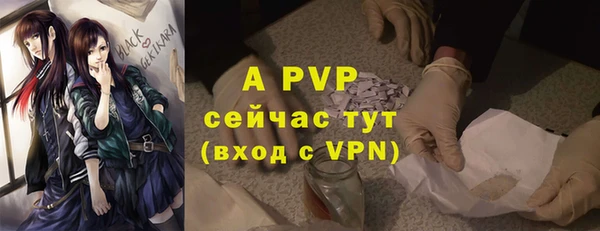 Альфа ПВП Арсеньев