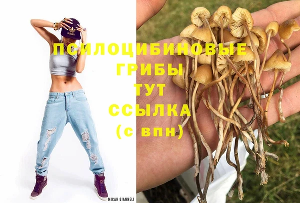 Альфа ПВП Арсеньев