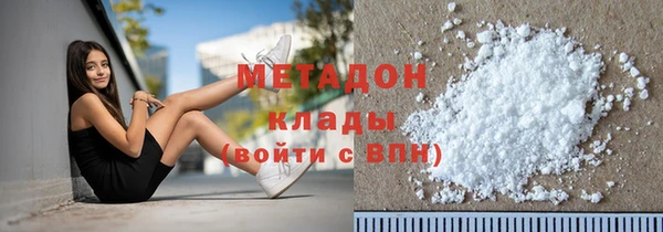 индика Инта