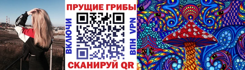 Псилоцибиновые грибы Magic Shrooms  ссылка на мегу зеркало  Сенгилей  наркошоп 